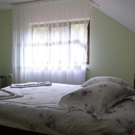 Pensiunea Malinul Bîrsana Zimmer foto